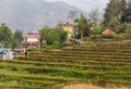 Farmer in a rice field Vietnam Royalty Free Stock Photo