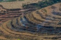 Rice terraces burning season Asia Royalty Free Stock Photo