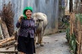 Woman walking a cow Vietnam Royalty Free Stock Photo