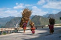 Ha Giang, Vietnam - Nov 25, 2018: Children with wood on back basket heading home at Ma Pi Leng pass