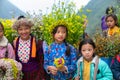 Ha Giang, Vietnam - Nov 24, 2018: Ethnic minority children with flower basket on back in Quan Ba district