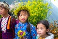Ethnic minority children with flower basket on back in Quan Ba district
