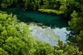 Ha Ha Tonka Natural Spring