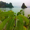 Ha Long Bay Mountains Royalty Free Stock Photo