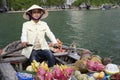 Ha Long Bay, Vietnam, floating market Royalty Free Stock Photo