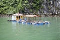 Ha Long Bay, Vietnam, houseboats