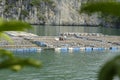 Ha Long, Vietnam - 28 October 2011: Fishermen and vendors in traditional Vietnamese boats crossing the bay