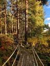 Haaga alppiruusupuisto also known as Rhododendron Park in Helsinki during fall season, Finland