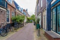 Haarlem, the Netherlands - March, 2022: decorative plants on the city street Cozy green little street in Haarlem. Concept social