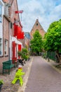 Haarlem, the Netherlands - March, 2022: decorative plants on the city street Cozy green little street in Haarlem. Concept social