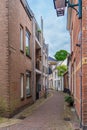 Haarlem, the Netherlands - March, 2022: decorative plants on the city street Cozy green little street in Haarlem. Concept social