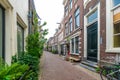Haarlem, the Netherlands - March, 2022: decorative plants on the city street Cozy green little street in Haarlem. Concept social