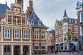 Haarlem, the Netherlands - March, 2022: decorative plants on the city street Cozy green little street in Haarlem. Concept social