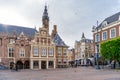 Haarlem, the Netherlands - March, 2022: decorative plants on the city street Cozy green little street in Haarlem. Concept social