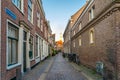 Haarlem, the Netherlands - March, 2022: decorative plants on the city street Cozy green little street in Haarlem. Concept social