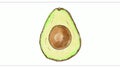 Haas avocado fruit with leaves watercolor time lapse 2D Animation