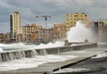 Habana, cuba Royalty Free Stock Photo