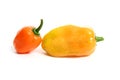 Habanero Capsicum chili hottest pepper Royalty Free Stock Photo