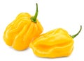 Habanero chili yellow hot pepper isolated on white background. clipping path Royalty Free Stock Photo
