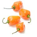 Habanero pepper Royalty Free Stock Photo
