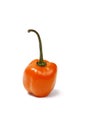Habanero Pepper Royalty Free Stock Photo