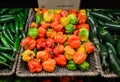 Habanero peppers Royalty Free Stock Photo