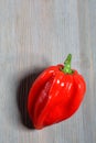 Habanero red Royalty Free Stock Photo