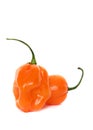 Habaneros Royalty Free Stock Photo