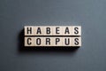 Habeas corpus - word concept on cubes