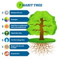 7 habit tree success mindset stages vector illustration Royalty Free Stock Photo