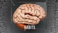 Habits in human brain