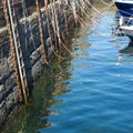 Habour wall with ropes chains and ladders for boats