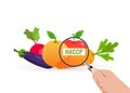 HACCP food safety checking and inspection Royalty Free Stock Photo