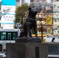 Hachiko Memorial Statue I