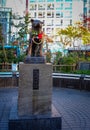 Hachiko Dog Memorial in Tokyo, Japan