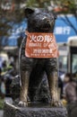 Hachiko A Dog`s Story