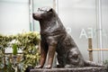 Hachiko statue