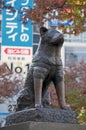 Hachiko statue in Shibuya, Japan