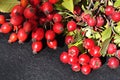 Hackberries and rosehips on dark