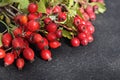 Hackberries and rosehips on dark