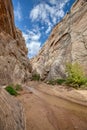 Hackberry Canyon Cottonwood Canyon Road Grand Staircase National Monument