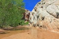Hackberry Canyon Royalty Free Stock Photo
