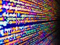 Hacker breaching net security. Website development. Program code with display. CSS, JavaScript and HTML usage. Javascript Royalty Free Stock Photo