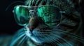 Hacker cat works at computer in dark room, digital code reflected in glasses. Concept of spy, ransomware, hack, funny animal, Royalty Free Stock Photo