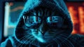 Hacker cat works at computer in dark room, digital data reflected in glasses. Concept of spy, ransomware, technology, hack, funny Royalty Free Stock Photo