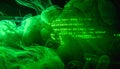 Hacker Code in Abstract Green Cloud Royalty Free Stock Photo