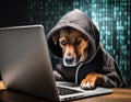 hacker dog in a hoodie will try to break through your computers cybersecurity