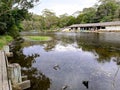 Hacking River @ Royal National Park, Sydney Royalty Free Stock Photo