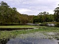 Hacking River @ Royal National Park, Sydney Royalty Free Stock Photo