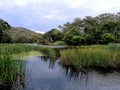 Hacking River @ Royal National Park, Sydney Royalty Free Stock Photo